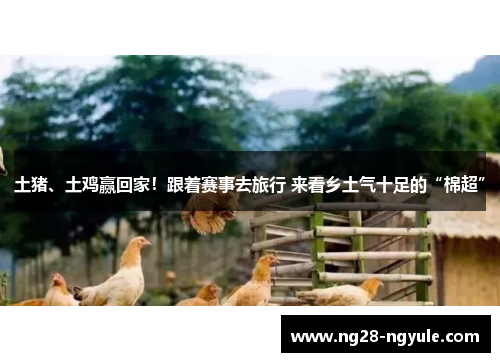 土猪、土鸡赢回家！跟着赛事去旅行 来看乡土气十足的“棉超”