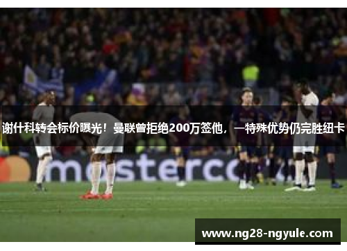 谢什科转会标价曝光！曼联曾拒绝200万签他，一特殊优势仍完胜纽卡